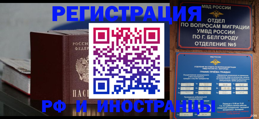 прописка 2025 в Мурино